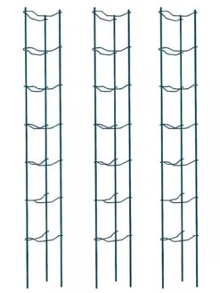 Tomato Ladders, Set Of 3 10 Tomato Ladders, Set Of 3 -Outdoor Garden Care Shop 38184 002E psd