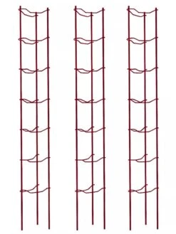 Tomato Ladders, Set Of 3 11 Tomato Ladders, Set Of 3 -Outdoor Garden Care Shop 38185 002E psd