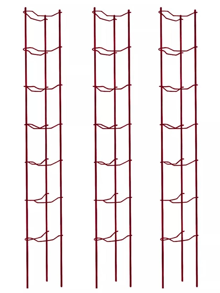 Tomato Ladders, Set Of 3 6 Tomato Ladders, Set Of 3 - Image 4