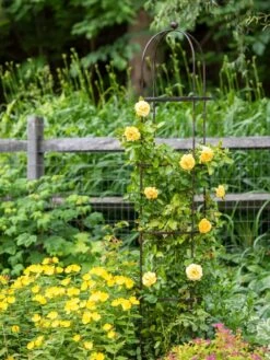 Jardin Round Obelisk, 7' -Outdoor Garden Care Shop 39 530 1668 tif