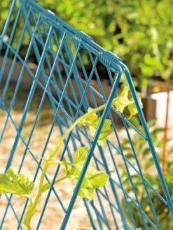 Deluxe Cucumber Trellis 14 Deluxe Cucumber Trellis -Outdoor Garden Care Shop 39806 BLUE 100 tif