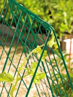Deluxe Cucumber Trellis 13 Deluxe Cucumber Trellis -Outdoor Garden Care Shop 39806 GR edit tif