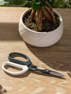 Japanese Pruning Scisssors -Outdoor Garden Care Shop 3 4 crop 8612968 0079