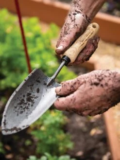 Gardener's Lifetime Trowel 13 Gardener's Lifetime Trowel -Outdoor Garden Care Shop 8586972 3242 tif