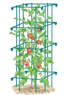 Tomato Cage, Single -Outdoor Garden Care Shop 8587039 TomatoCage BLUE tif