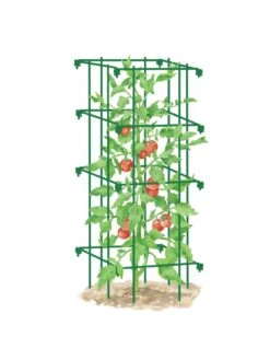 Tomato Cage, Single -Outdoor Garden Care Shop 8587039 TomatoCage GRN tif