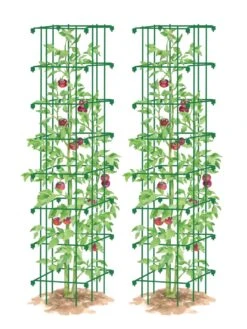 Tomato Towers, Set Of 2 -Outdoor Garden Care Shop 8587041 0006 GRN tif