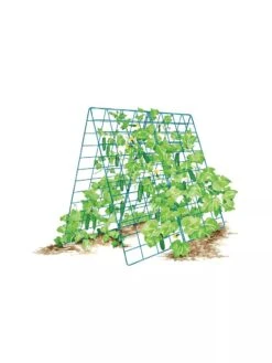 Deluxe Cucumber Trellis 17 Deluxe Cucumber Trellis -Outdoor Garden Care Shop 8587083 001 BLUE Cukes two sided deluxe cucumber trellis support storm blue 3 4