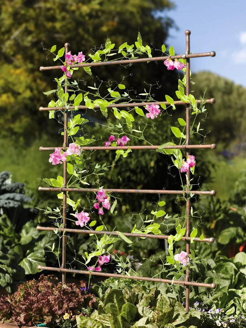 Jardin Ladder Trellis 5 Jardin Ladder Trellis - Image 3