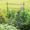 Jardin Ladder Trellis -Outdoor Garden Care Shop 8587107 1651 tif