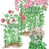 Grow Through Supports, Set Of 3 1 Grow Through Supports, Set Of 3 -Outdoor Garden Care Shop 8587111RS 001E 1