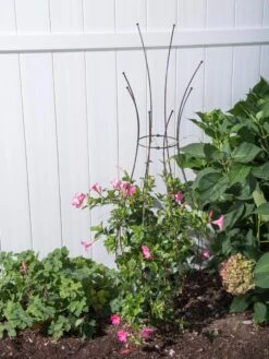 Jardin Pot Trellis -Outdoor Garden Care Shop 8587120 0028 tif