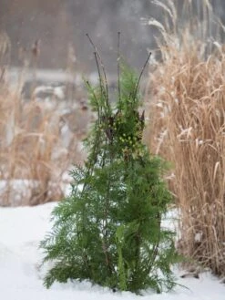 Jardin Pot Trellis -Outdoor Garden Care Shop 8587120 009 tif