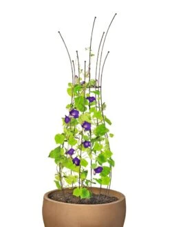 Jardin Pot Trellis -Outdoor Garden Care Shop 8587120 1006 tif