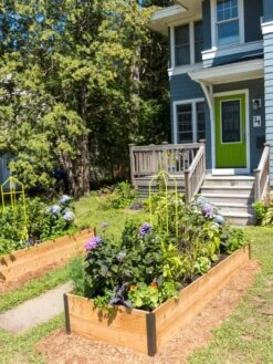 Zenith Folding Garden Supports, Set Of 2 16 Zenith Folding Garden Supports, Set Of 2 -Outdoor Garden Care Shop 8587807 0801 tif