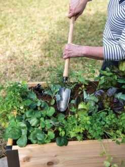 Gardener's Lifetime Raised Bed Trowel 7 Gardener's Lifetime Raised Bed Trowel -Outdoor Garden Care Shop 8588014 4084 tif