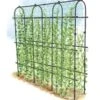 Titan Pea Tunnel -Outdoor Garden Care Shop 8596275 0002 1 tif