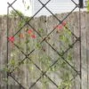 Achla Designs Freestanding Lattice Trellis -Outdoor Garden Care Shop 8599475 01V tif