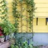 Achla Designs Waves Trellis -Outdoor Garden Care Shop 8599491 01V tif