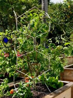 Gardener's Vertex Lifetime Pepper And Eggplant Cage -Outdoor Garden Care Shop 8599554 01CUST tif