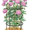 Titan Peony Supports, Large, Set Of 2 -Outdoor Garden Care Shop 8599857 0001 art tif