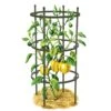 Titan Pepper Eggplant Cages, Set Of 3 -Outdoor Garden Care Shop 8599859 0001 art tif