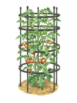 Titan Tomato Cages, Set Of 3 -Outdoor Garden Care Shop 8599861 0001 art tif