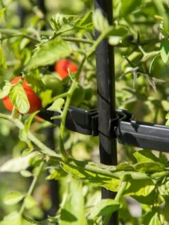 Outdoor Garden Care Shop -Outdoor Garden Care Shop 8599861 0079 tif 1