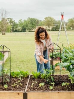 Zenith Folding Garden Supports, Set Of 2 17 Zenith Folding Garden Supports, Set Of 2 -Outdoor Garden Care Shop 8600073 324 tif