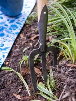 Gardener’s Lifetime Perennial Fork With Short T-Handle 7 Gardener’s Lifetime Perennial Fork With Short T-Handle -Outdoor Garden Care Shop 8600311 3434 tif