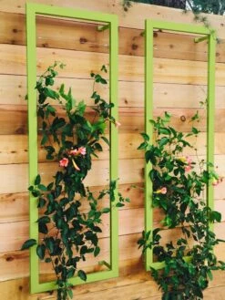 Ina Modern Wall Trellis Sr. 13 Ina Modern Wall Trellis Sr. -Outdoor Garden Care Shop 8600510 01V tif