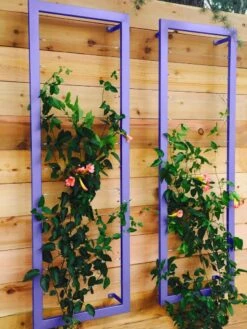 Ina Modern Wall Trellis Sr. 14 Ina Modern Wall Trellis Sr. -Outdoor Garden Care Shop 8600510 07V tif