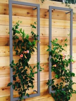 Ina Modern Wall Trellis Sr. 12 Ina Modern Wall Trellis Sr. -Outdoor Garden Care Shop 8600510 08V jpg