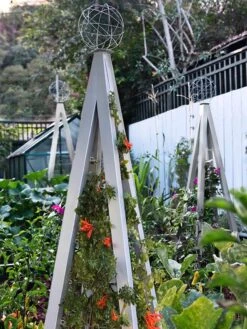 Akoris Garden Tuteur Jr. -Outdoor Garden Care Shop 8600517 07V tif