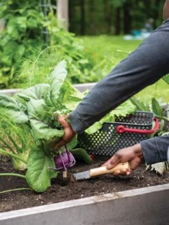 Gardener's Lifetime Hori Hori Knife 9 Gardener's Lifetime Hori Hori Knife -Outdoor Garden Care Shop 8608888 0422 tif