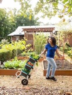 Mod Hod Trolley With Teal Mod Hods 9 Mod Hod Trolley With Teal Mod Hods -Outdoor Garden Care Shop 8610240 0070 tif