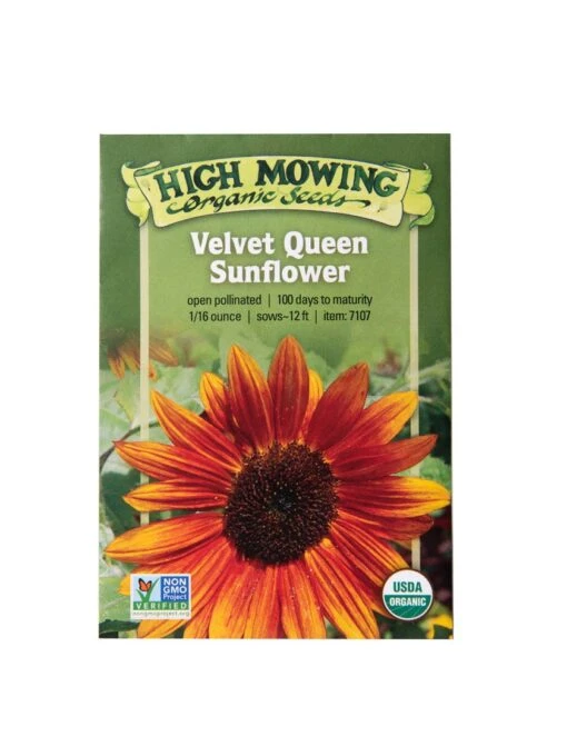 Velvet Queen Sunflower Organic Seeds -Outdoor Garden Care Shop 8610362 9977 velvet queen sunflower organic seeds