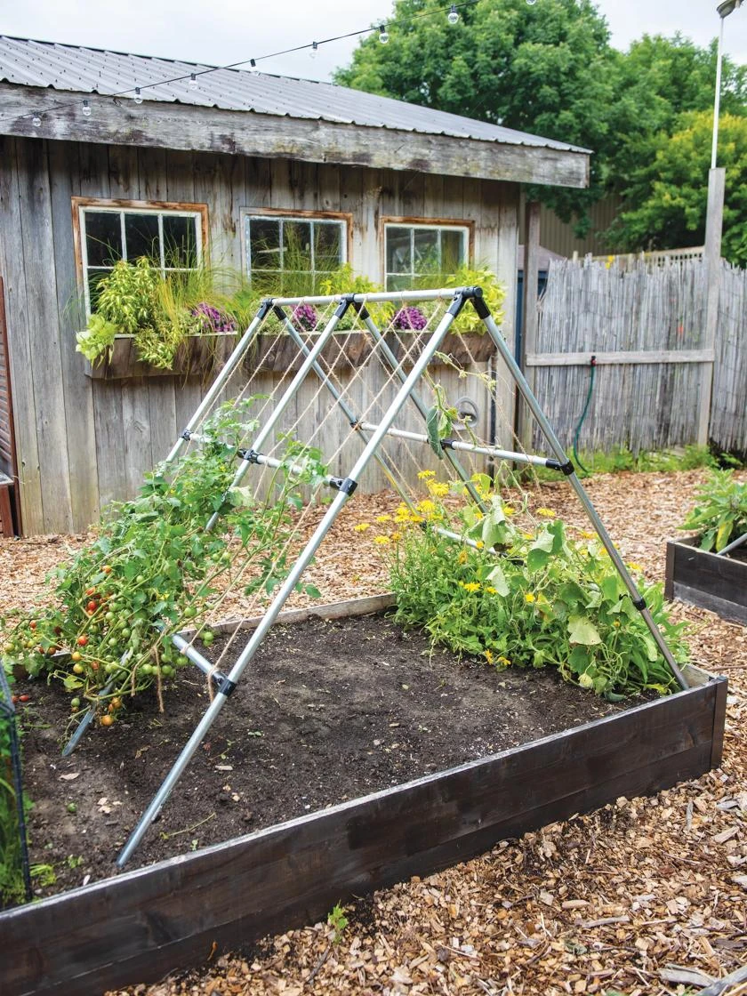 Connector Kit For DIY A Frame Plant Support 6 Connector Kit For DIY A Frame Plant Support - Image 4