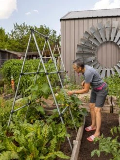 Connector Kit For DIY A Frame Plant Support 13 Connector Kit For DIY A Frame Plant Support -Outdoor Garden Care Shop 8610366 7584 tif