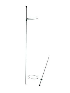 Peacock Mini Plant Support Rings 4", Set Of 2 -Outdoor Garden Care Shop 8610386 9566