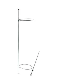 Peacock Mini Plant Support Rings 8", Set Of 2 -Outdoor Garden Care Shop 8610388 9565 tif