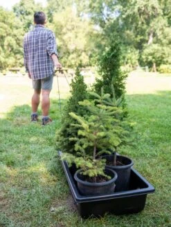 Gardener's Summer Sled And Cover -Outdoor Garden Care Shop 8611044 229 tif