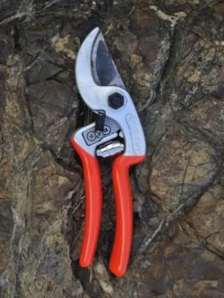 Castellari Ergonomic Anvil Pruner -Outdoor Garden Care Shop 8611969 01V tif