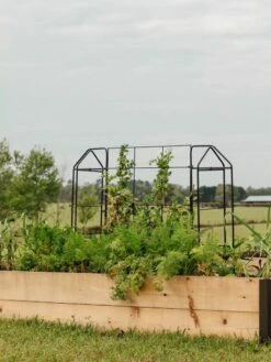 Outdoor Garden Care Shop -Outdoor Garden Care Shop 8612035 549 tif