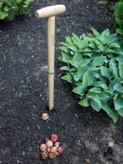 Wicked Big Dibber 10 Wicked Big Dibber -Outdoor Garden Care Shop 8612667 0028