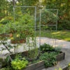 Chicken Wire Pea Trellis 2 Chicken Wire Pea Trellis -Outdoor Garden Care Shop 8612718 7313 chicken wire pea trellis