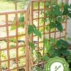 Bamboo Zig-Zag Trellis 24" X 36" -Outdoor Garden Care Shop 8613151 15