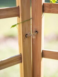 Bamboo Zig-Zag Trellis 24" X 36" 17 Bamboo Zig-Zag Trellis 24" X 36" -Outdoor Garden Care Shop 8613151 6483