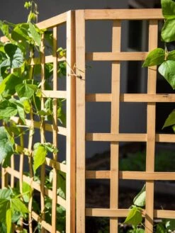 Bamboo Zig-Zag Trellis 24" X 36" 18 Bamboo Zig-Zag Trellis 24" X 36" -Outdoor Garden Care Shop 8613151 6491