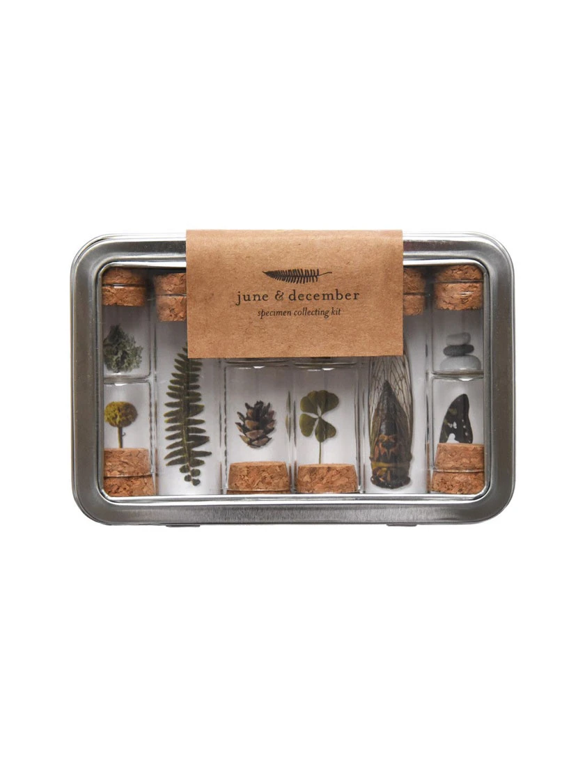 Botanical Specimen Collecting Kit 3 Botanical Specimen Collecting Kit